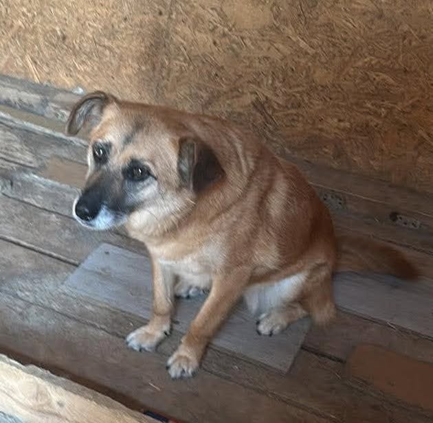 Fiona sucht ihr neues Zuhause