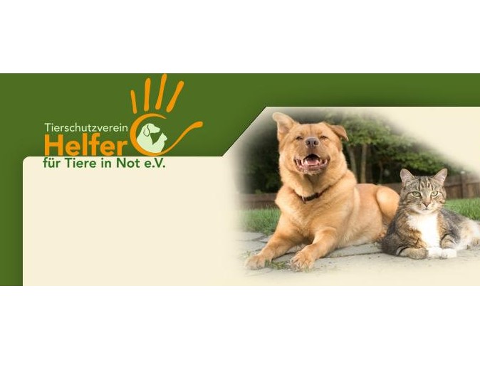 Tierschutzverein Helfer für Tiere in Not e.V.