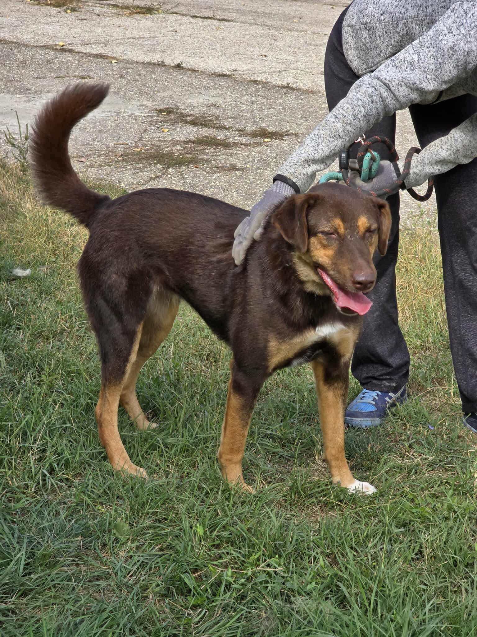 Nora ❤️