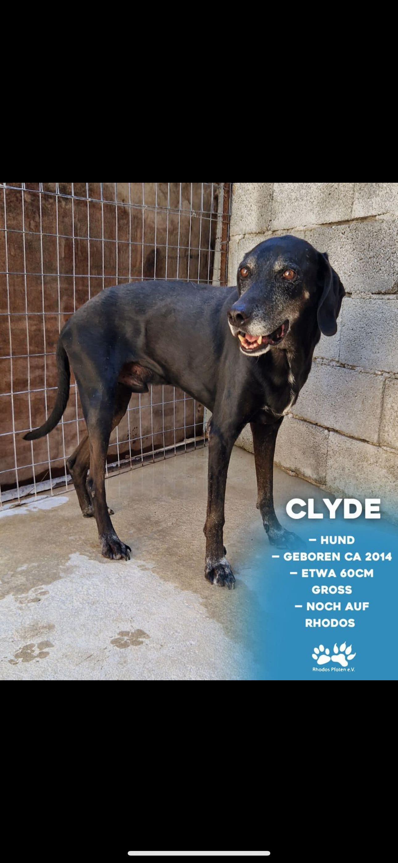 Clyde