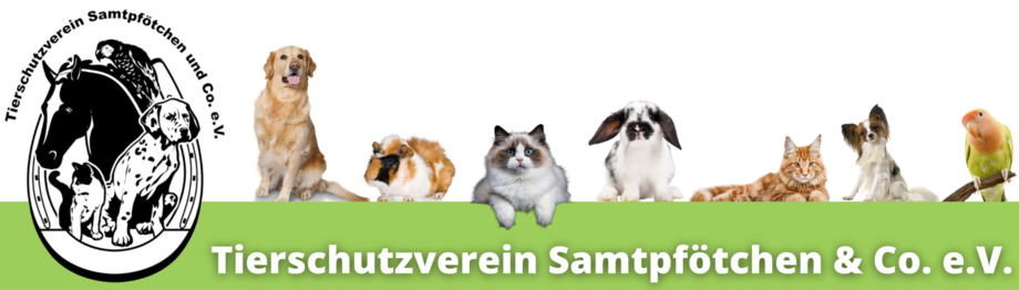 Tierschutzverein Samtpfötchen und Co e.V.