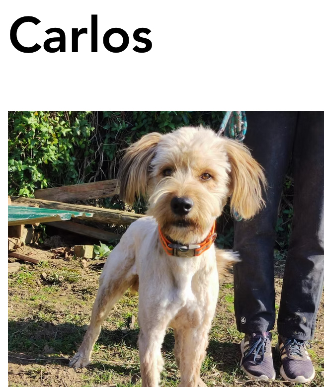 Carlos
