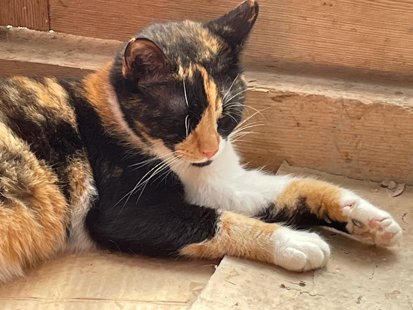 ❣️ Katinka❣️ Freigang❣️