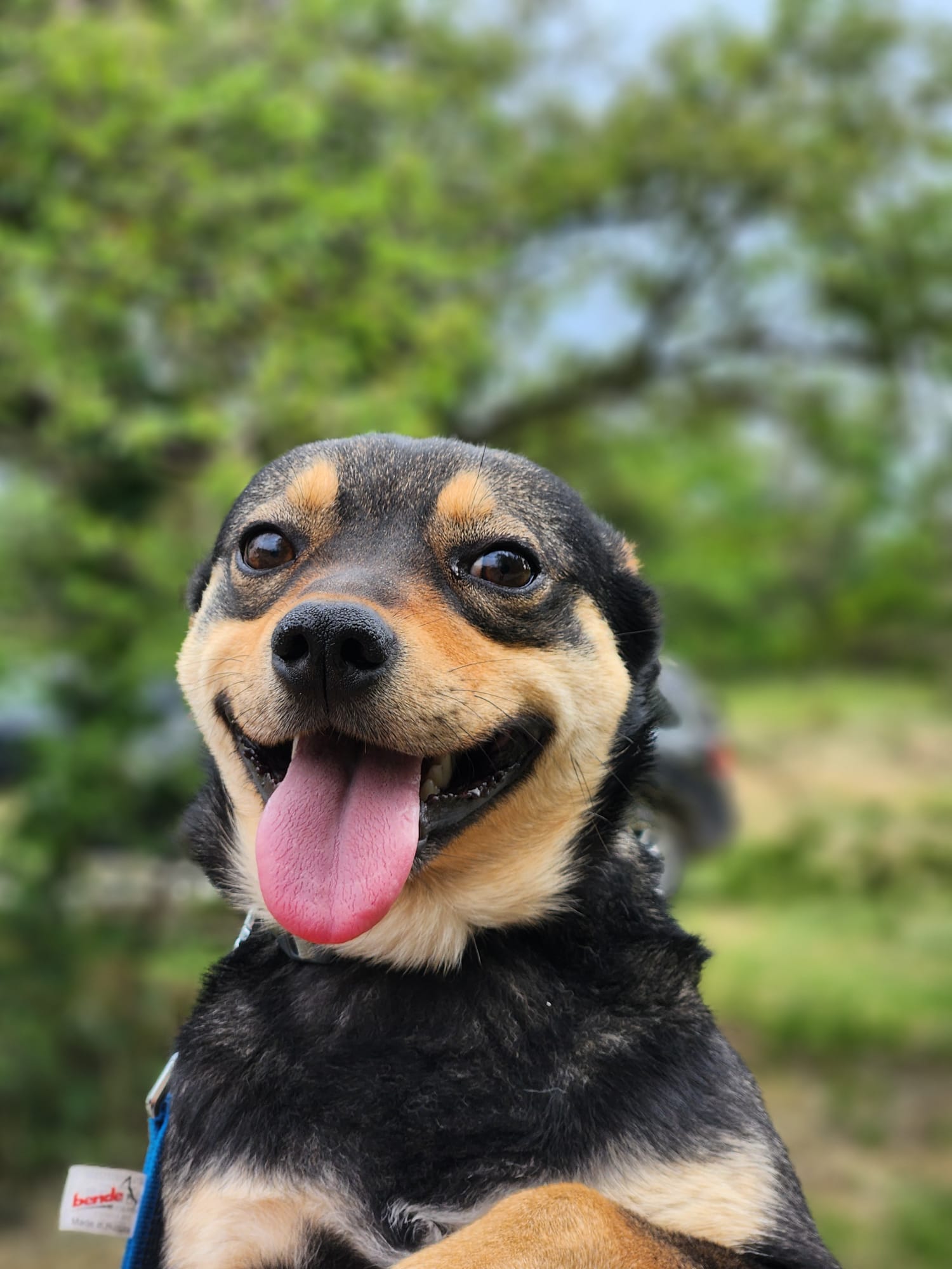 Smile