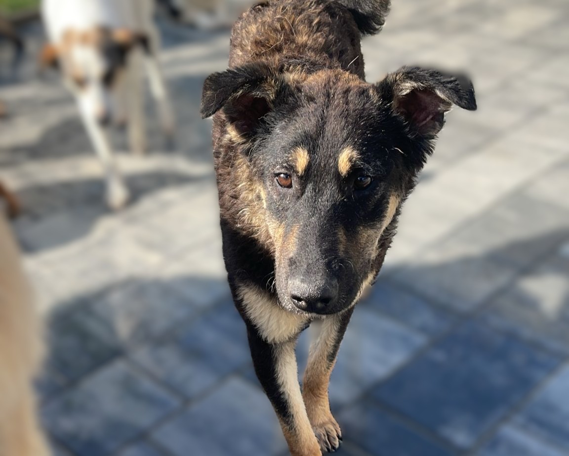 Sammy💕wartet auf dich