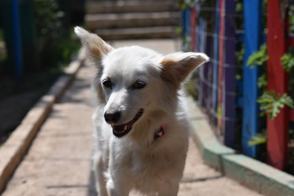 Roxy