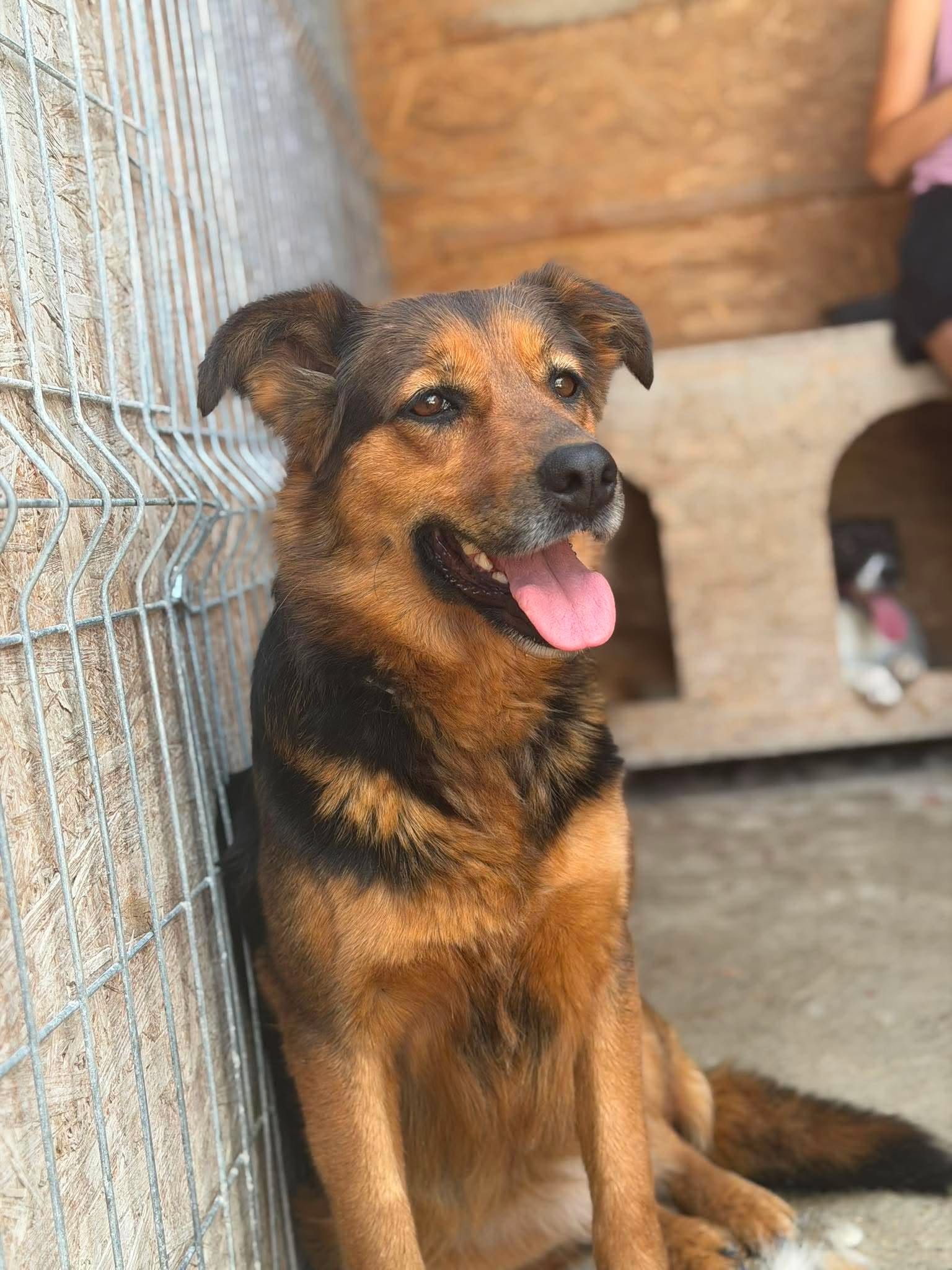 Reni 🐕