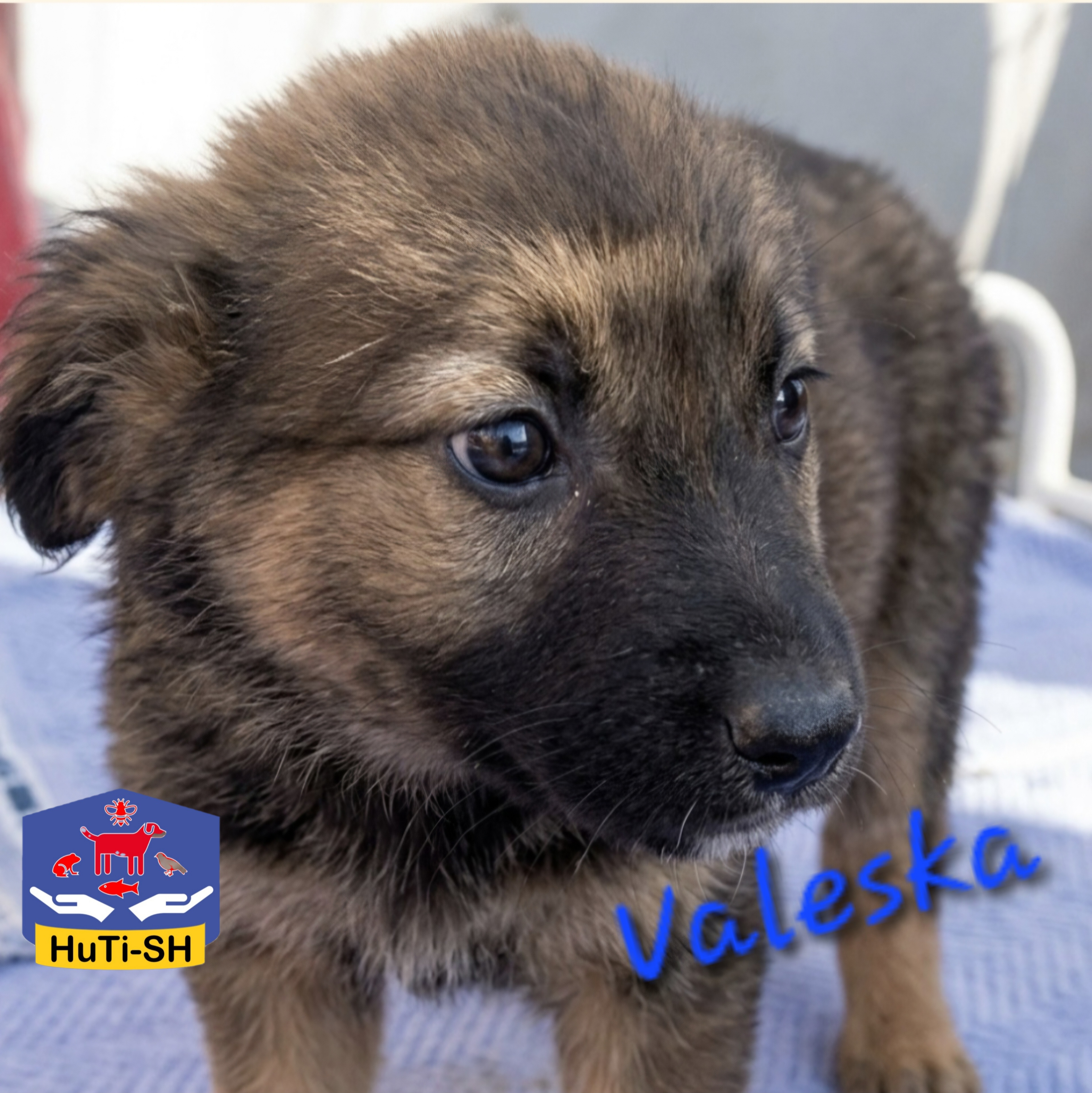 Valeska