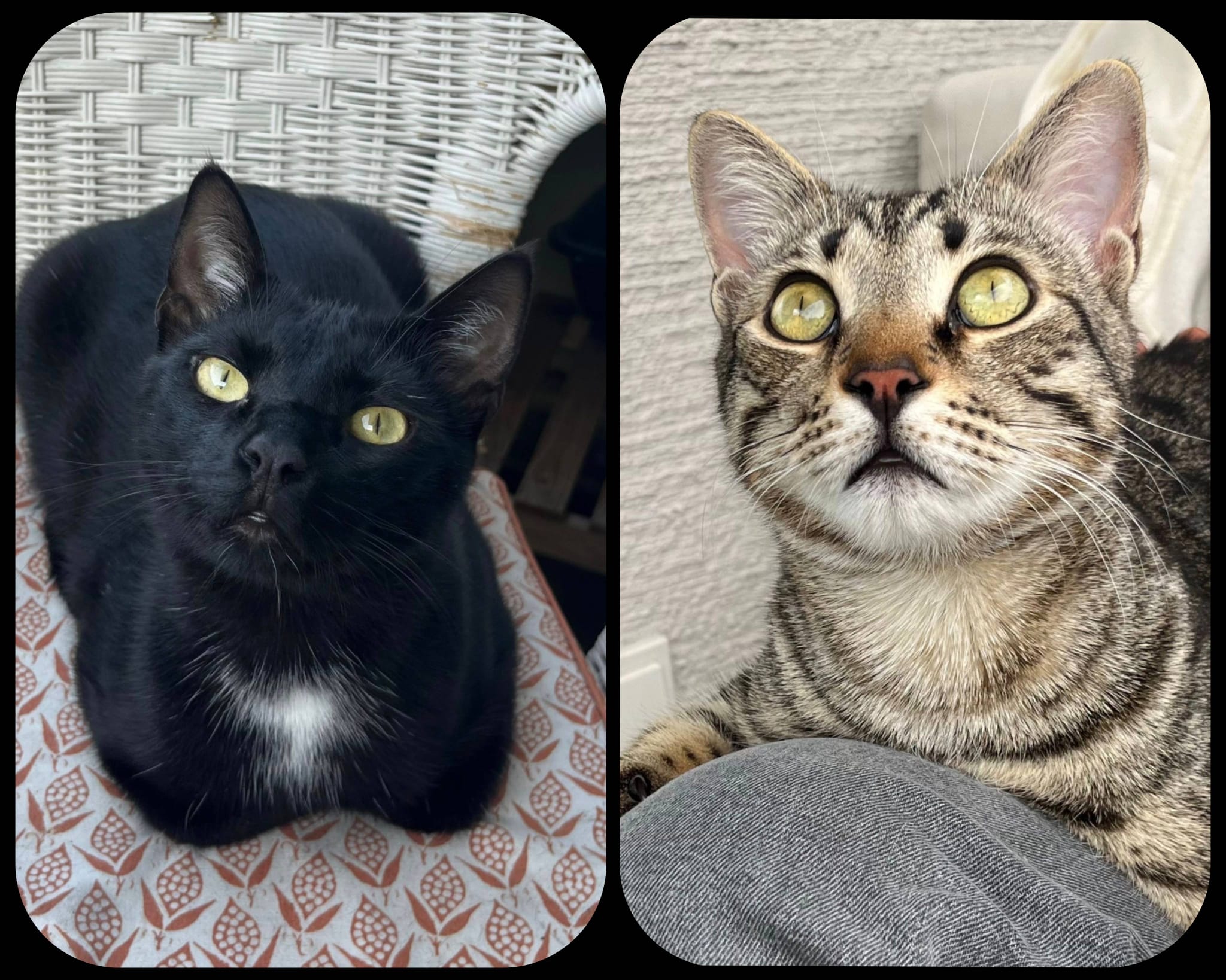 Mateo und Pedro