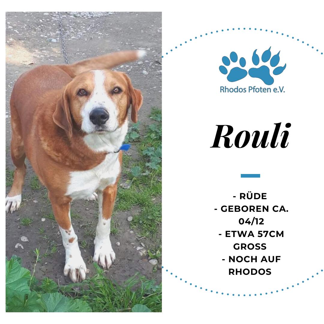 Rouli