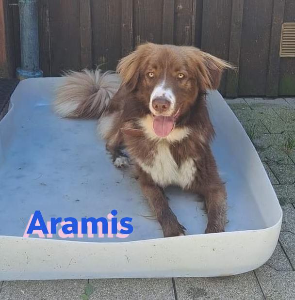 Aramis