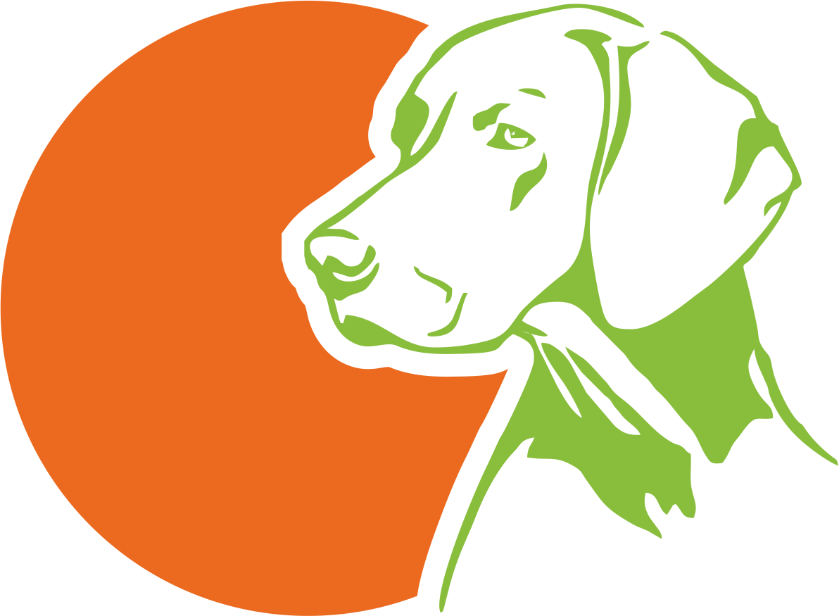 Hundehilfe Second Chance Tierschutzverein
