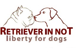 Retriever in Not e.V. - liberty for dogs