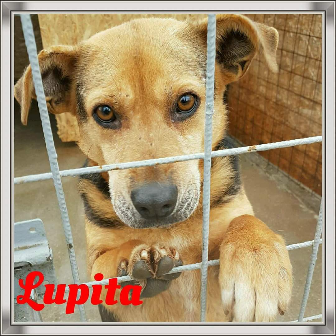 LUPITA
