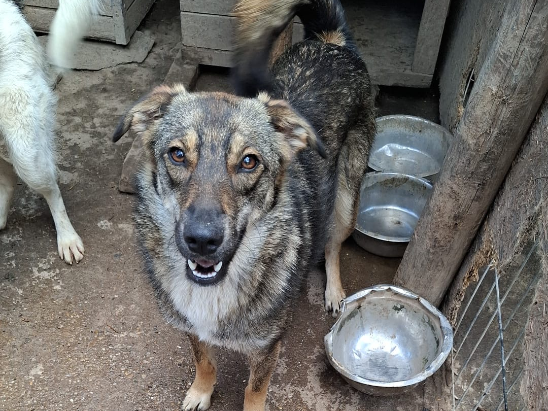 Naeli 🐾🐕