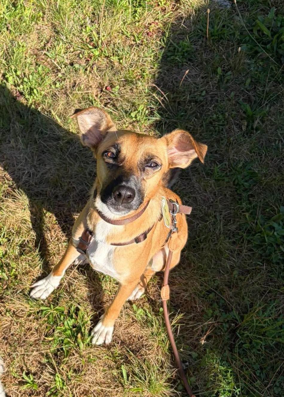 Gina ❤️ - sucht aus 64807