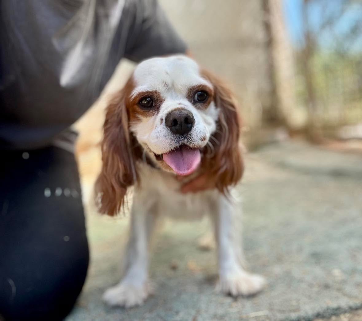 Chester