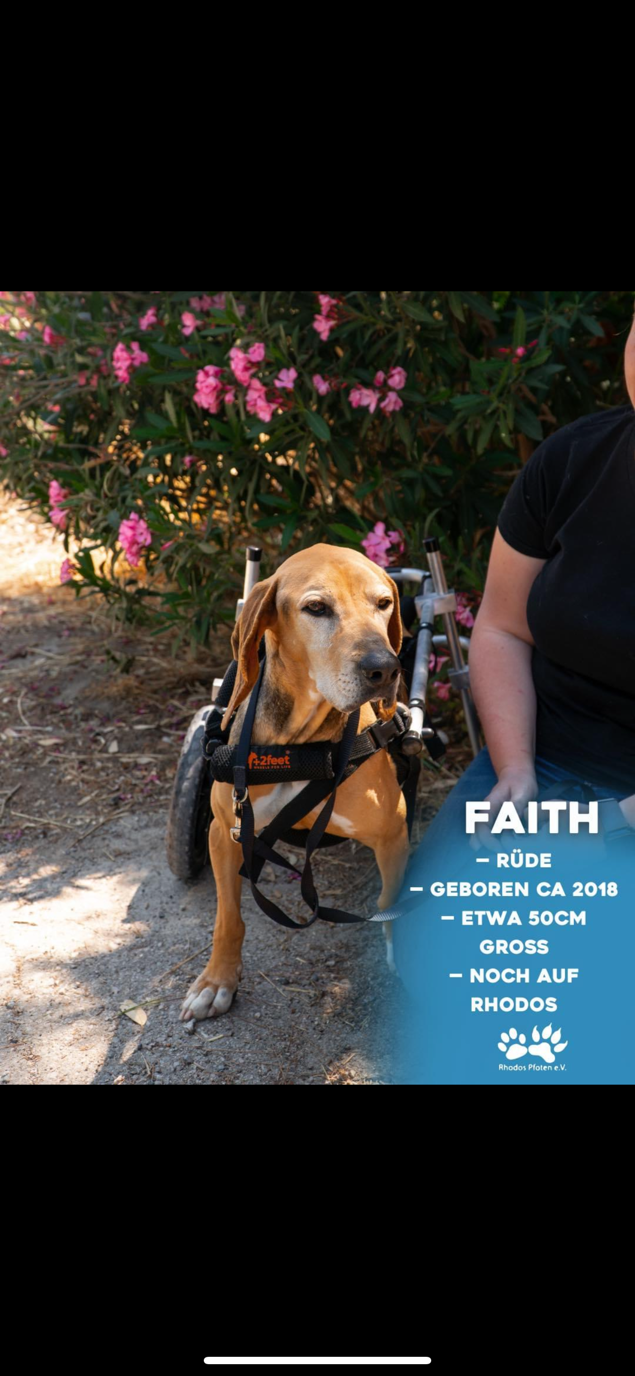 Faith