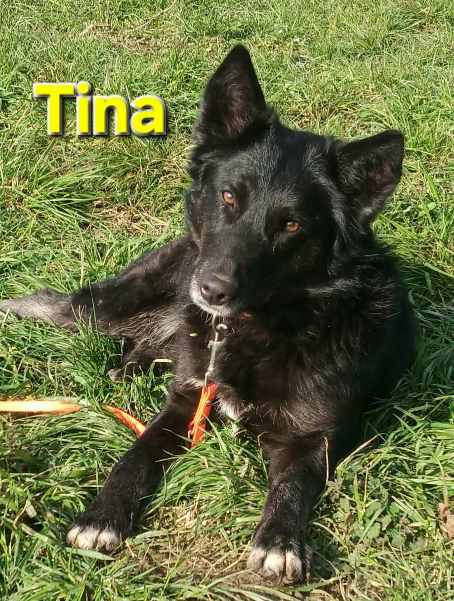 Tina ❤️