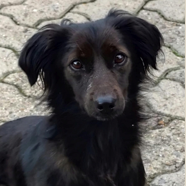 NIKKI-in 32547 Bad Oeynhausen