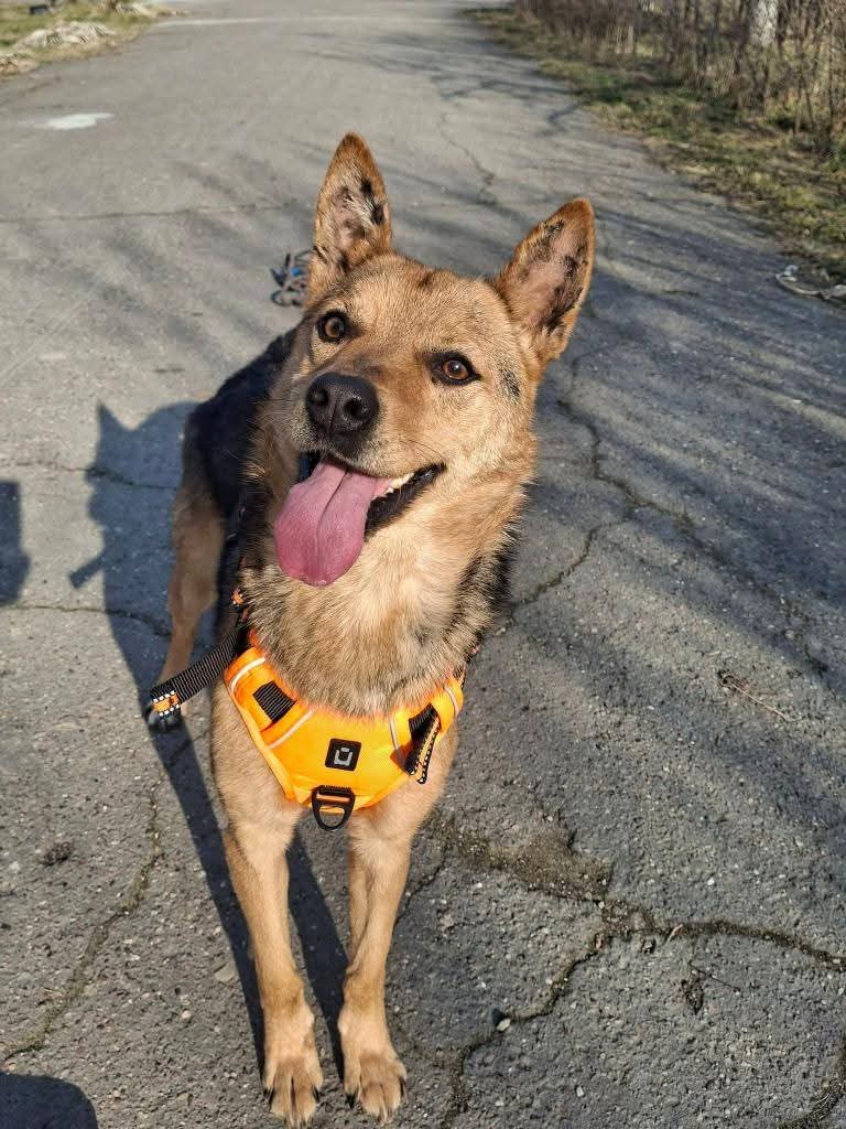 Paco