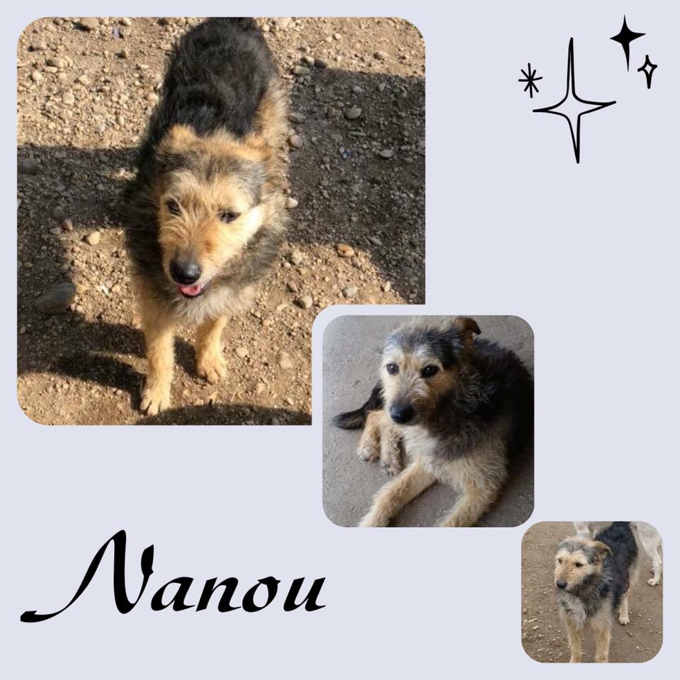 Nanou