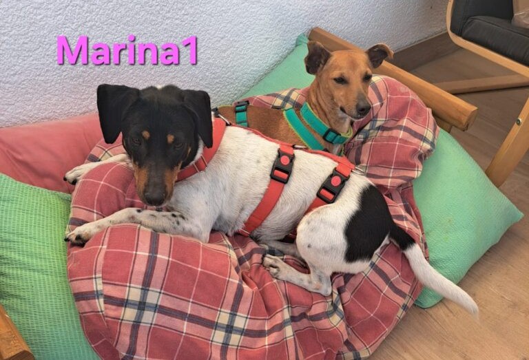 Marina1 - in Deutschland