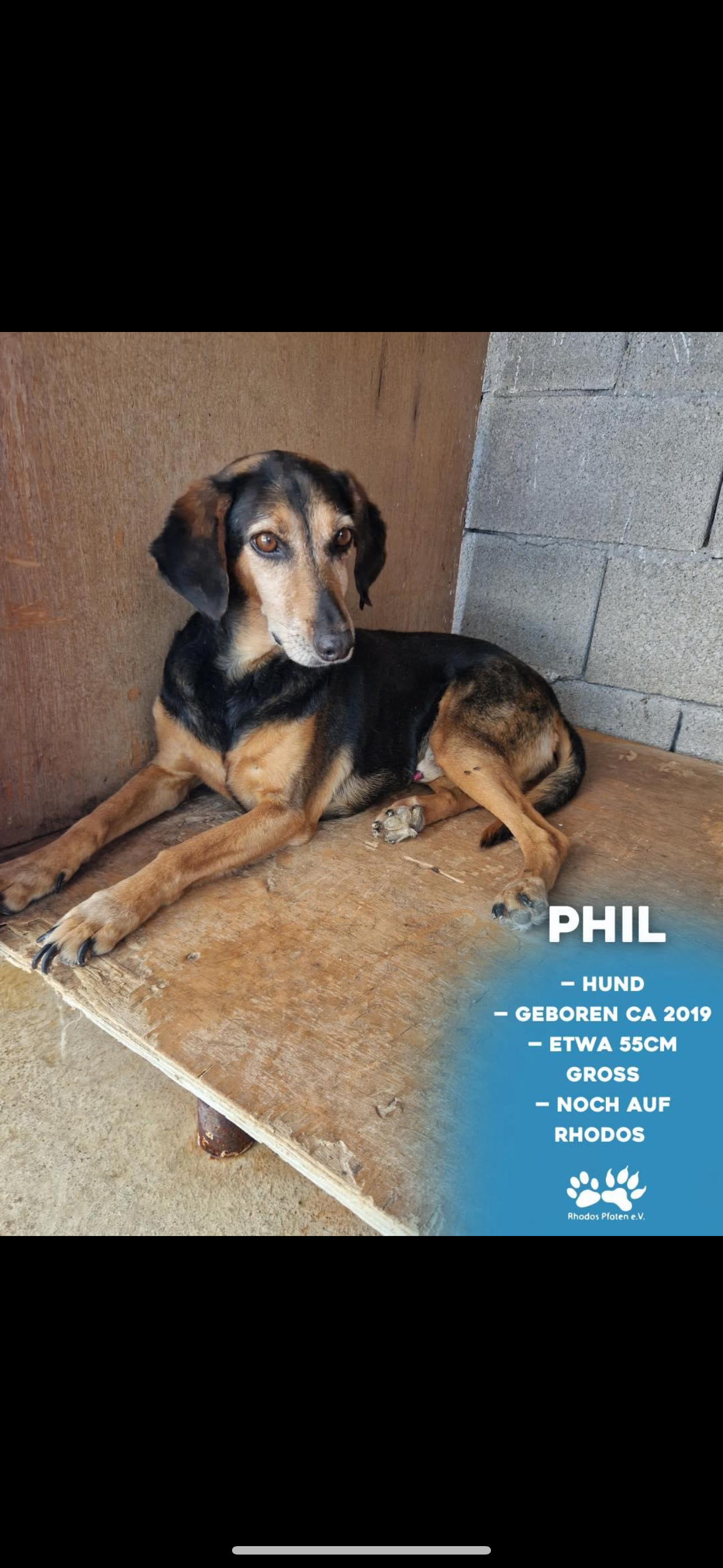 Phil