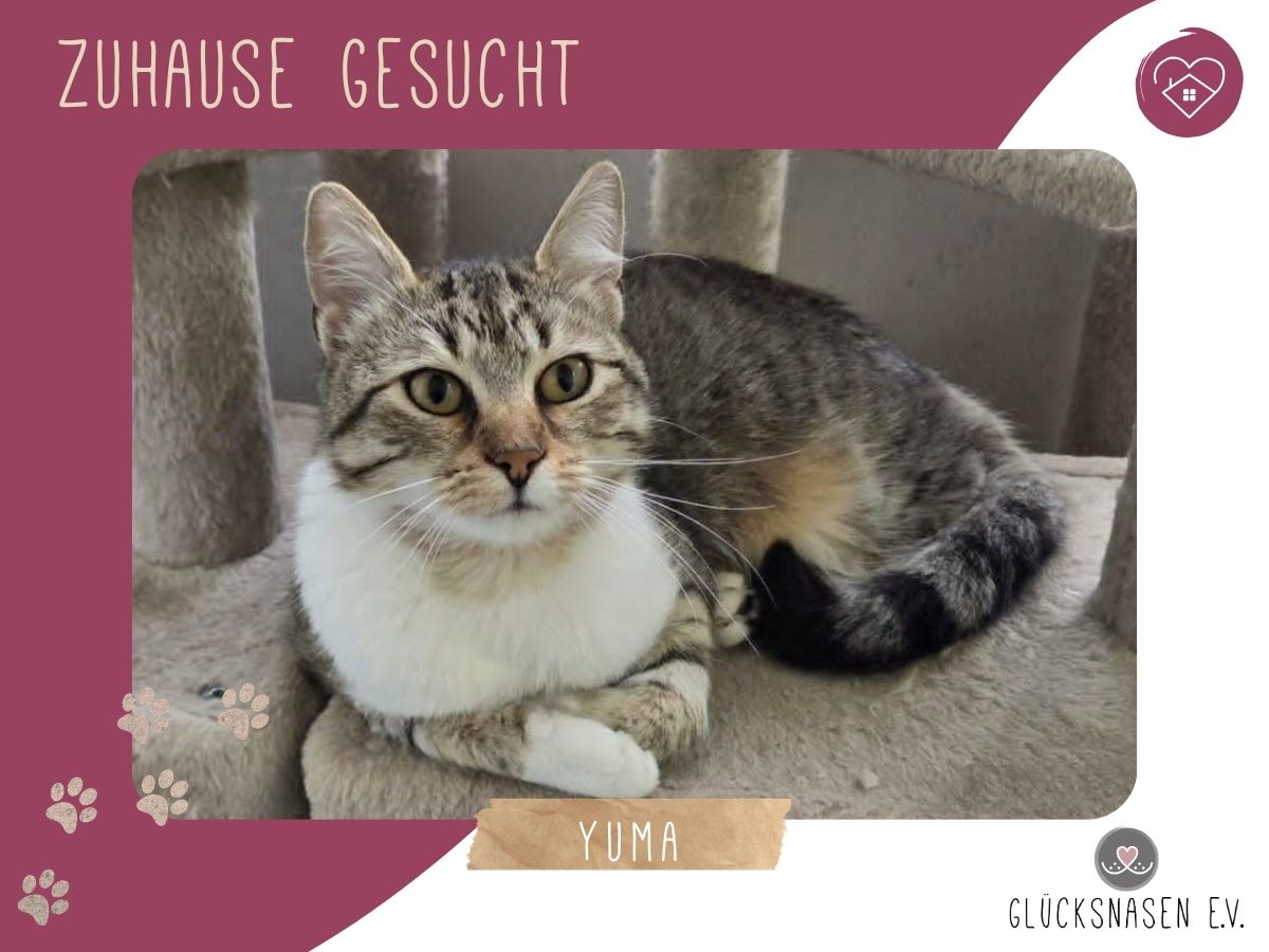Yuma träumt von ihrem Zuhause