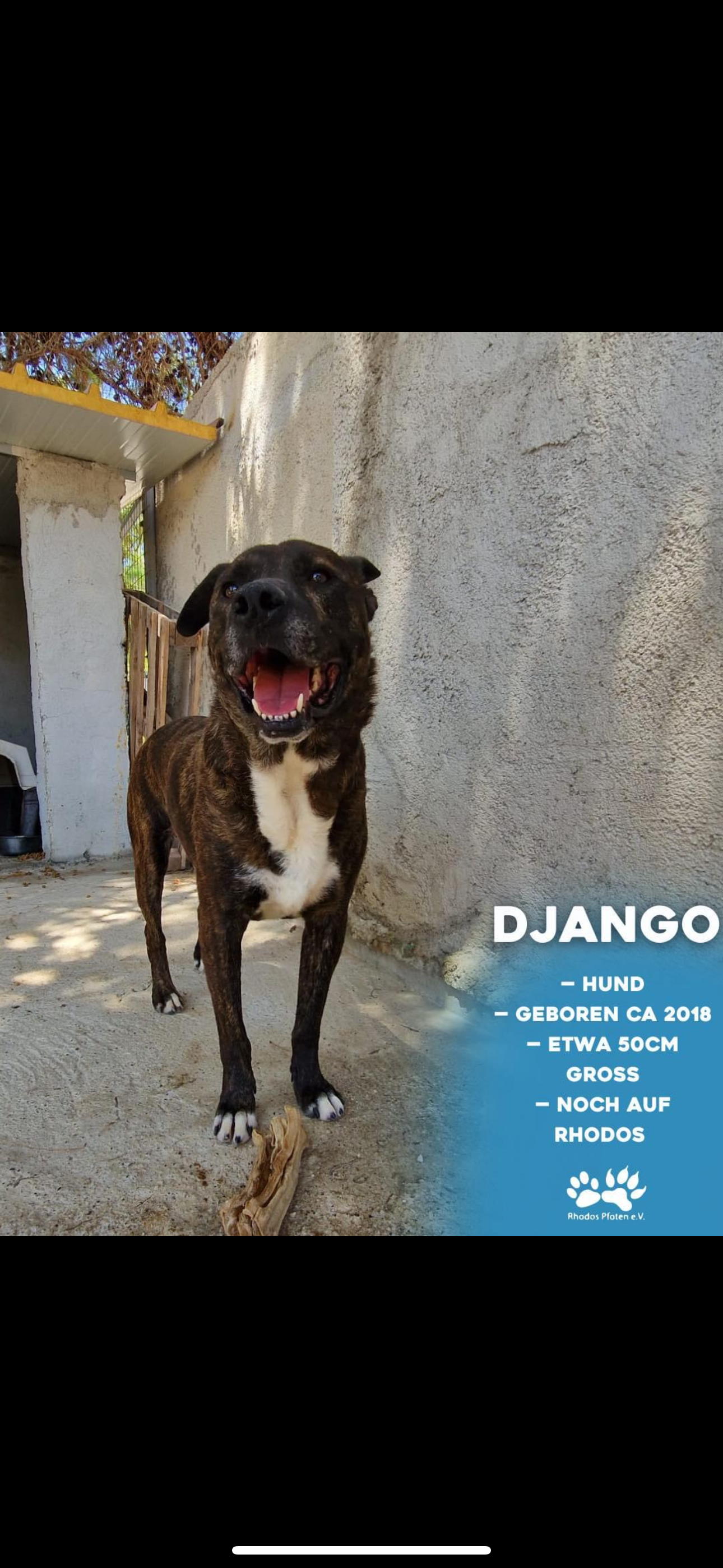 Django