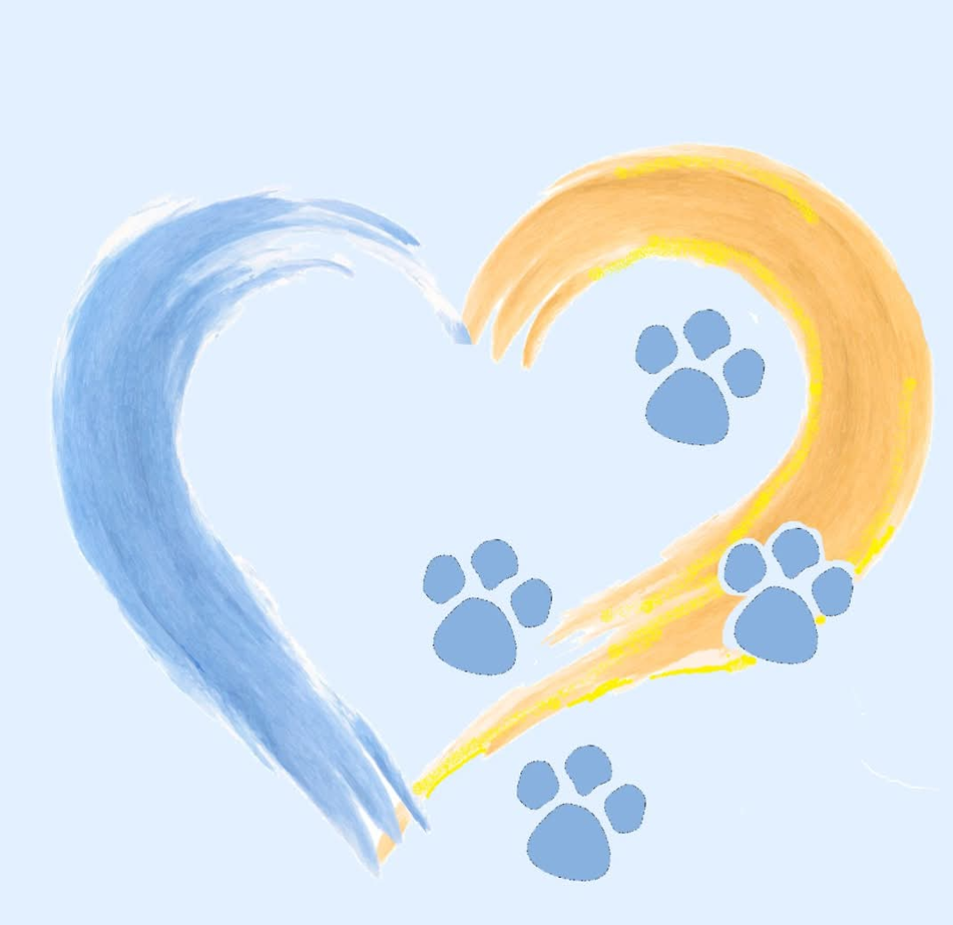 Hunde- und Katzenhilfe Sumy e.V.