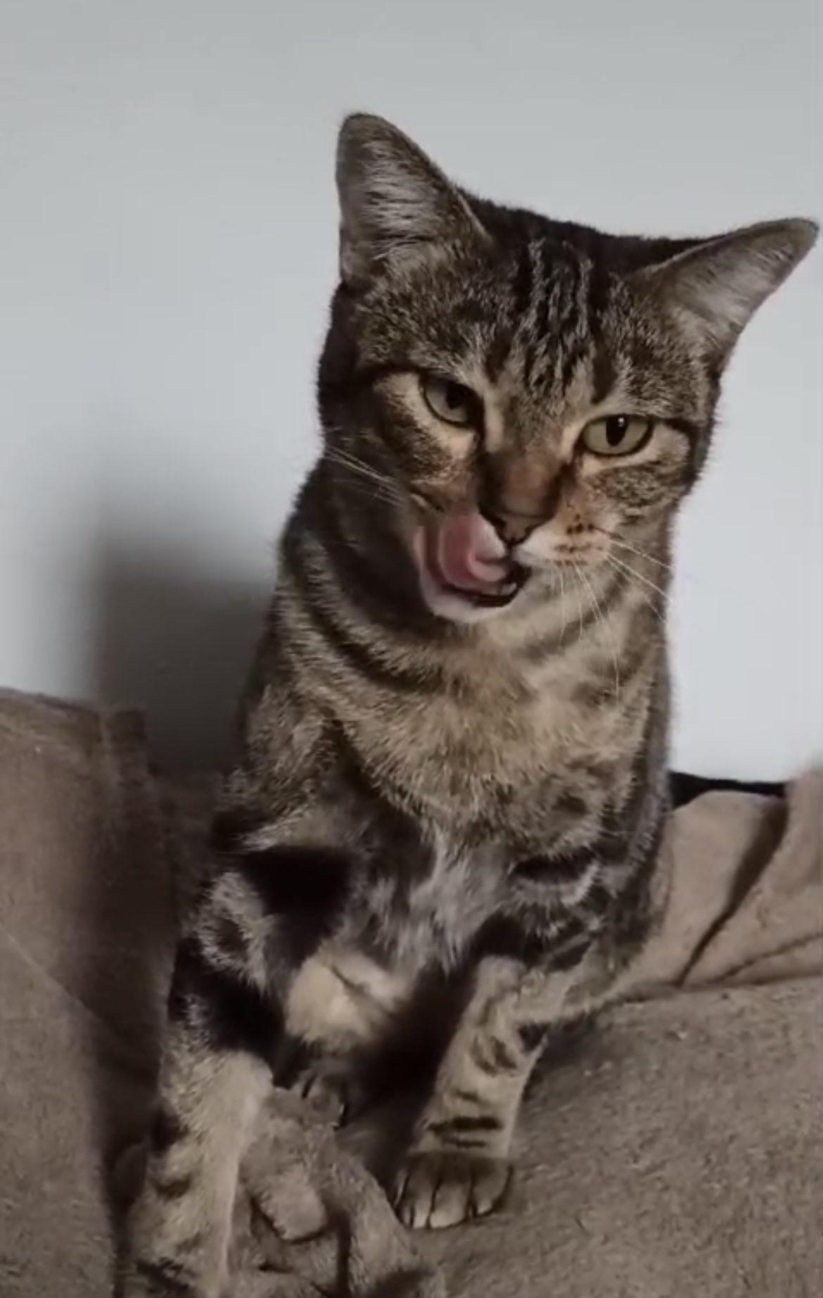 Hera