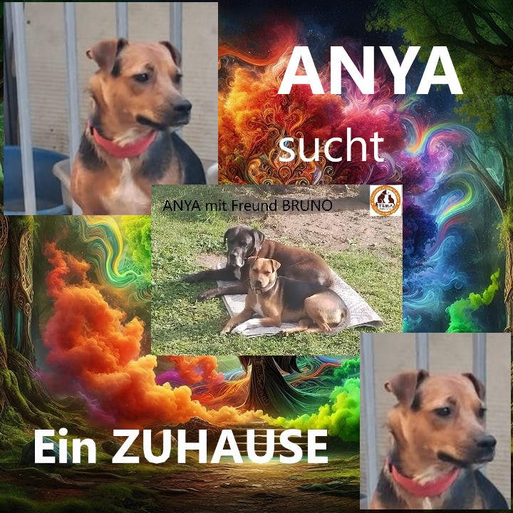 Anya