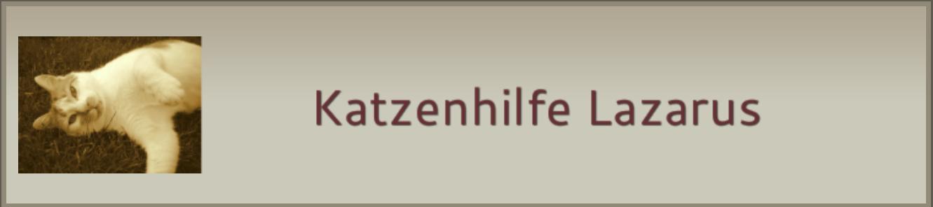 Katzenhilfe Lazarus