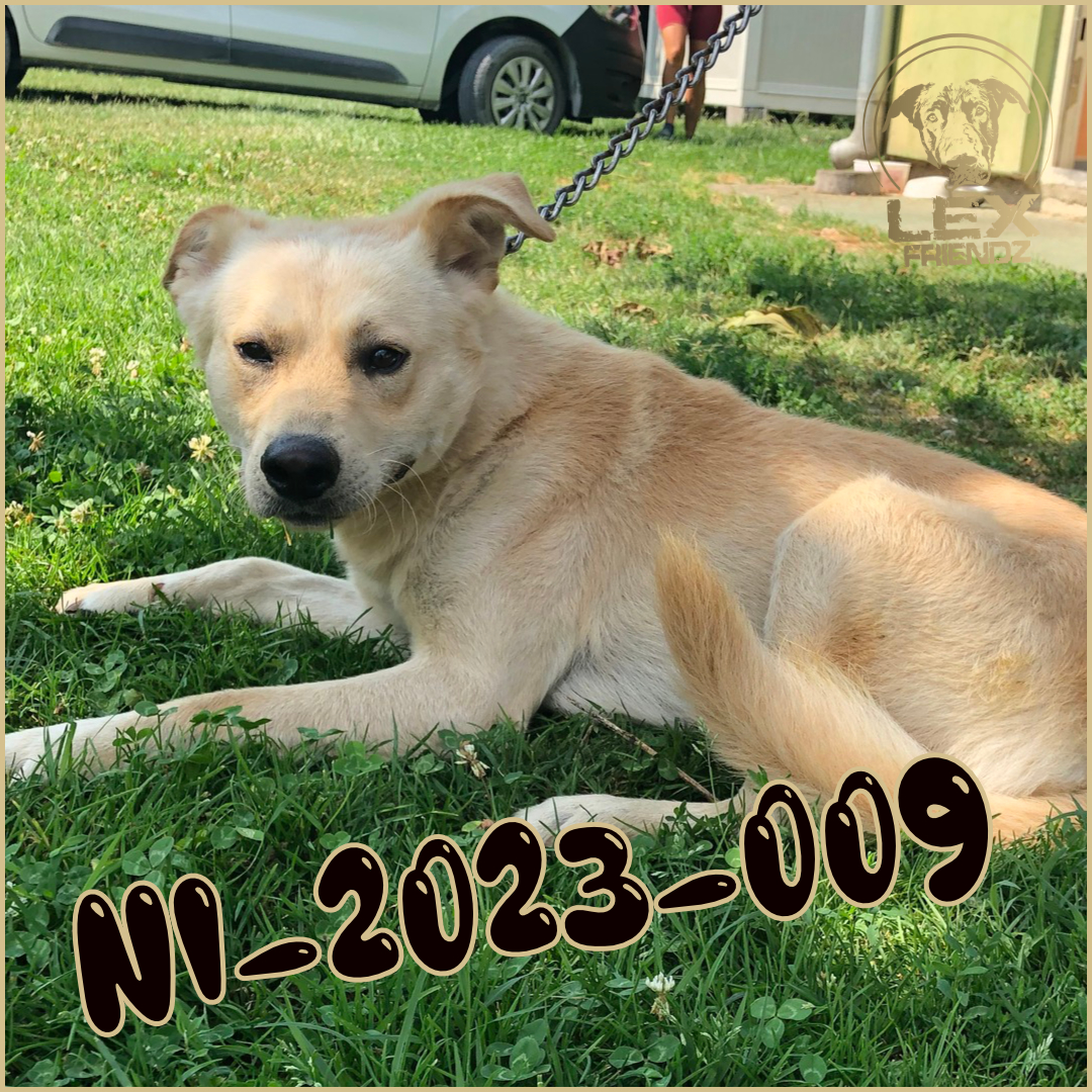 NI-2023-009