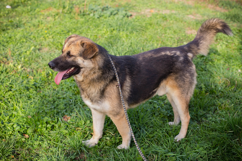 Tero