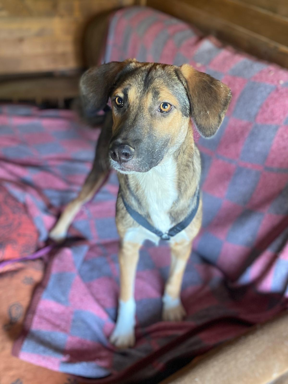 Coco