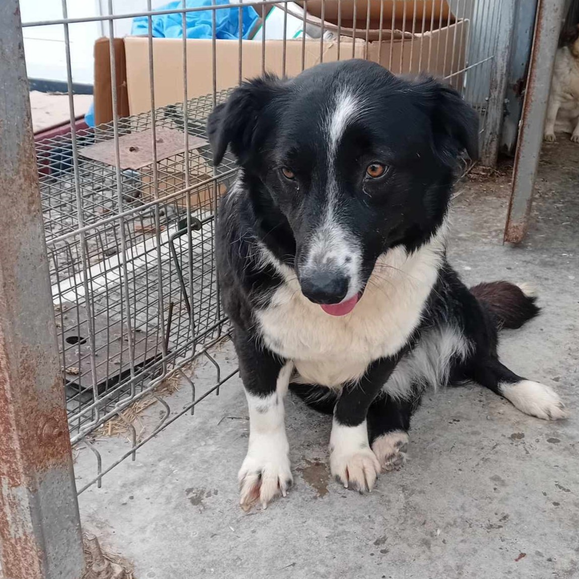 Dunja 🐾