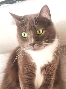 Wunderhübsche JULIETTA
