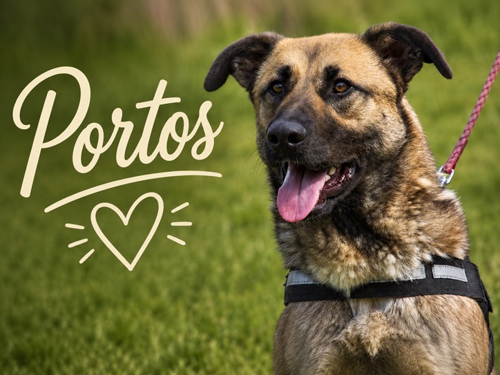Portos - sanfter Freund