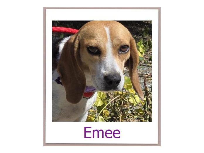 Emee
