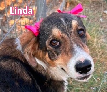 Linda