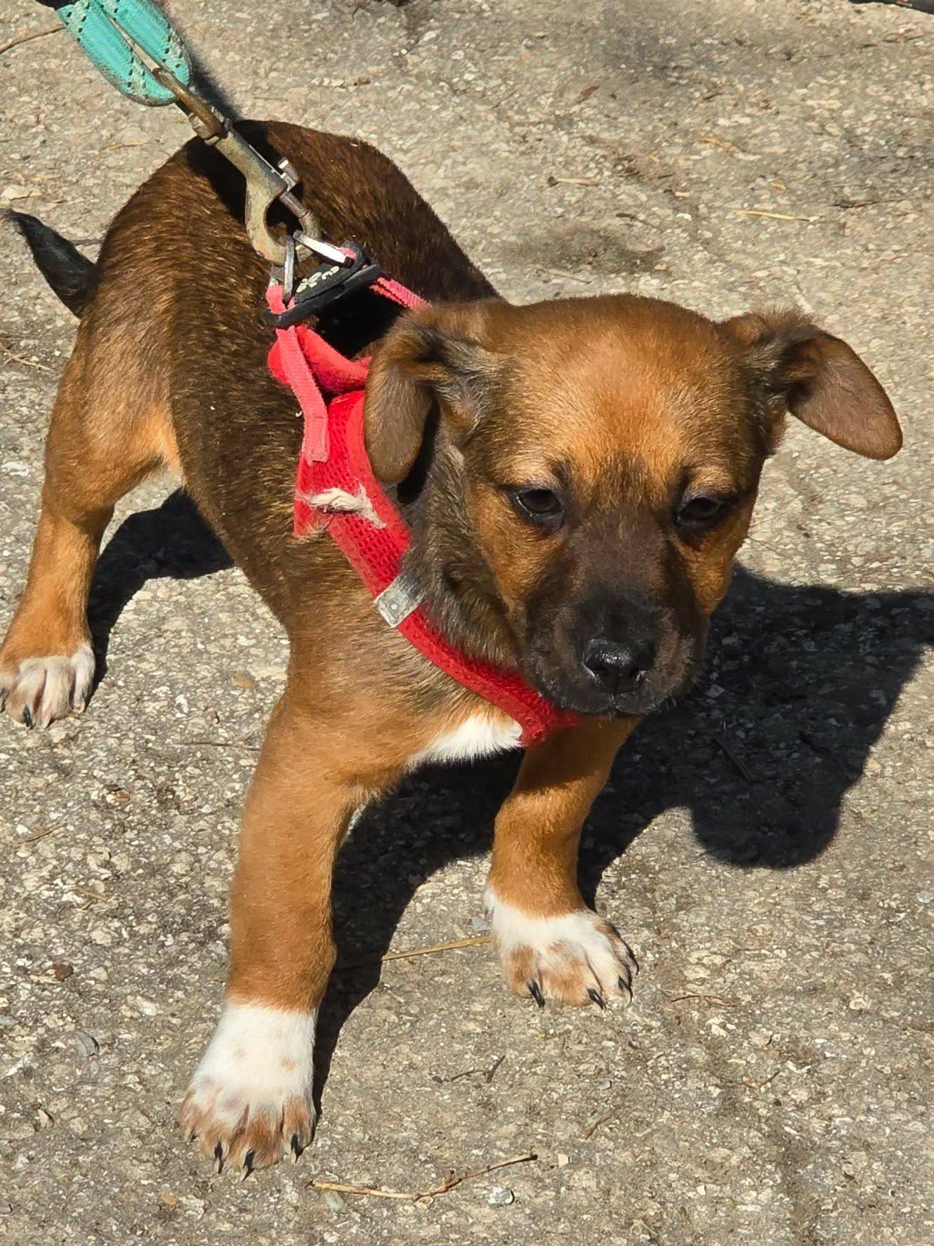 Eva ❤️