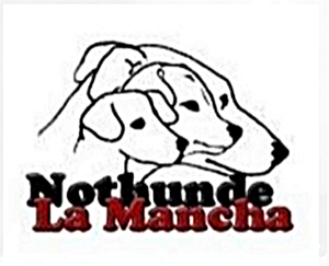 Nothunde La Mancha