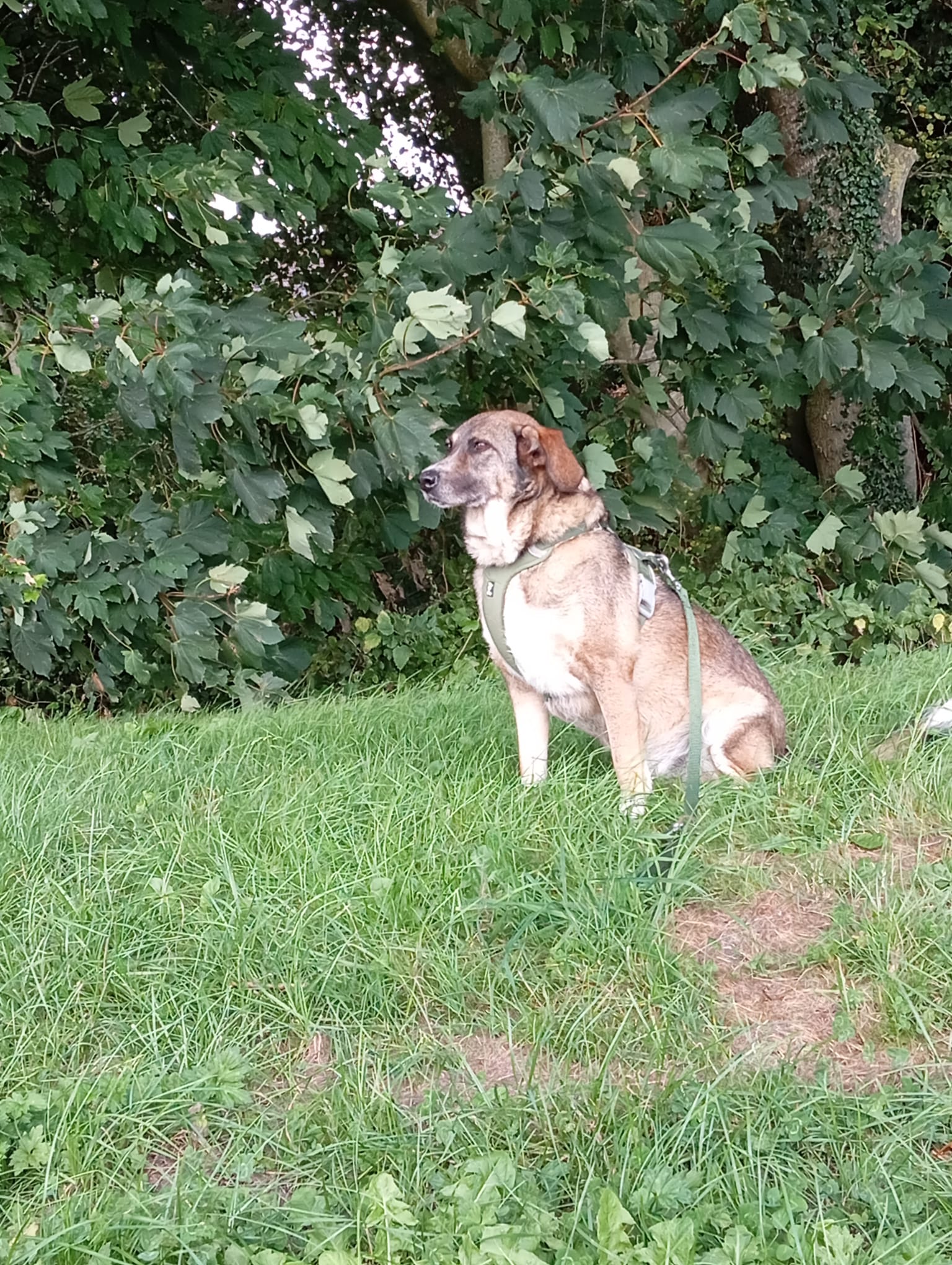 Emma