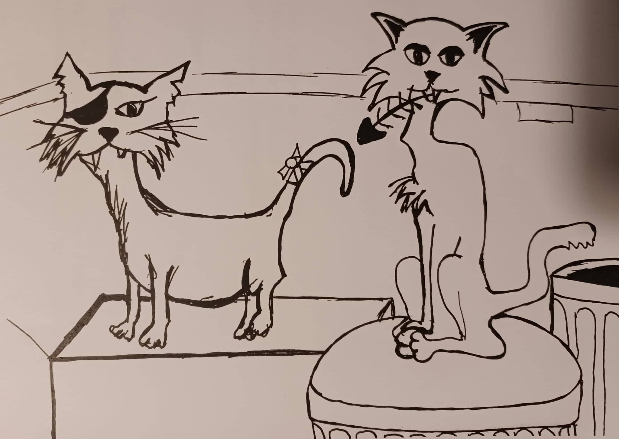 Katzenrettung Gangelt e.V.