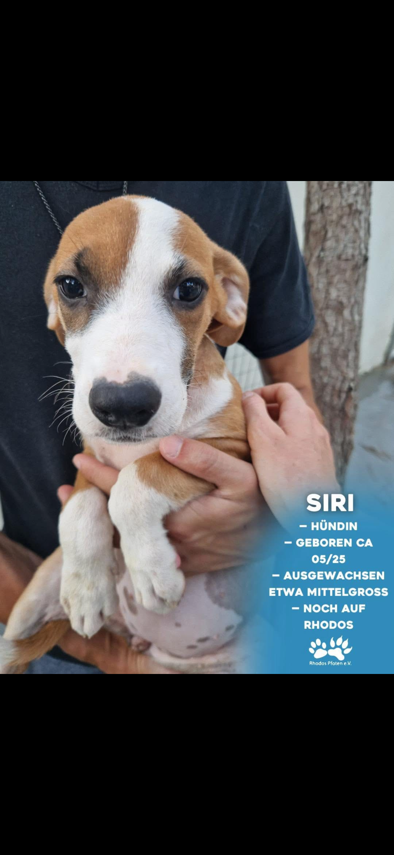 Siri