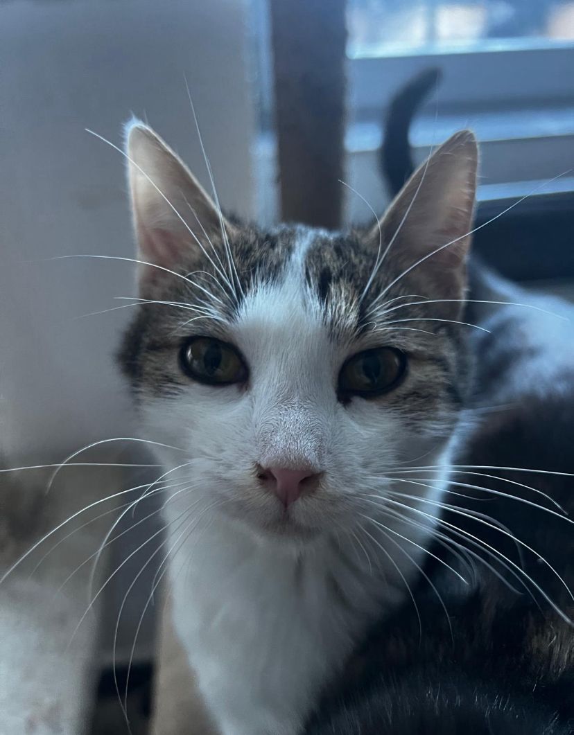 ❣️ Pippa ❣️ Freigang