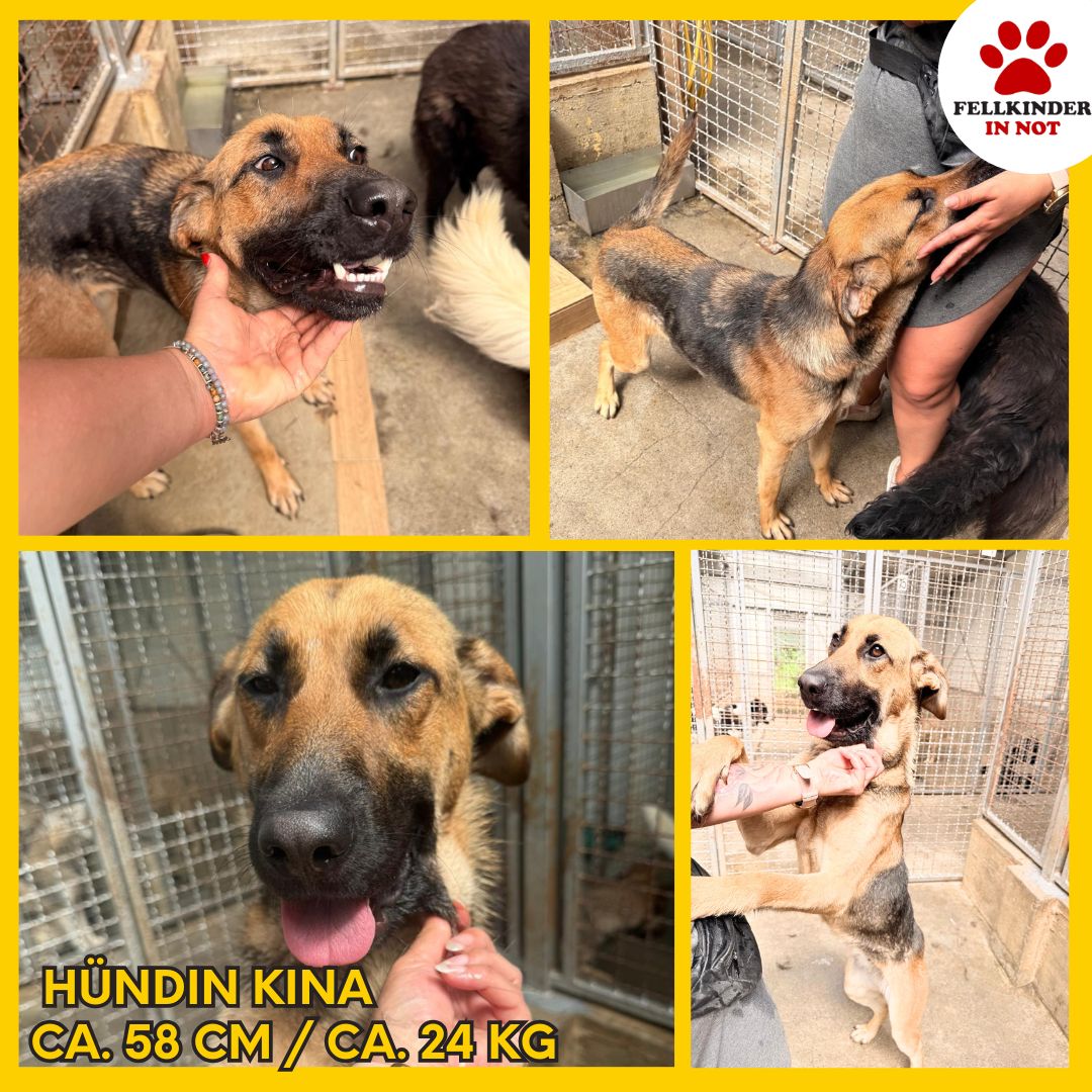 Kina