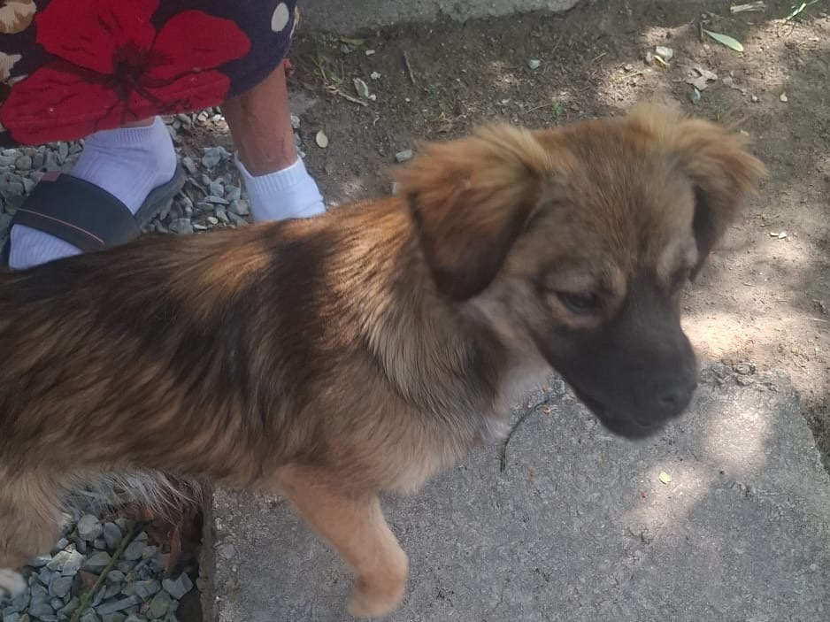 Malou 🐾🐕